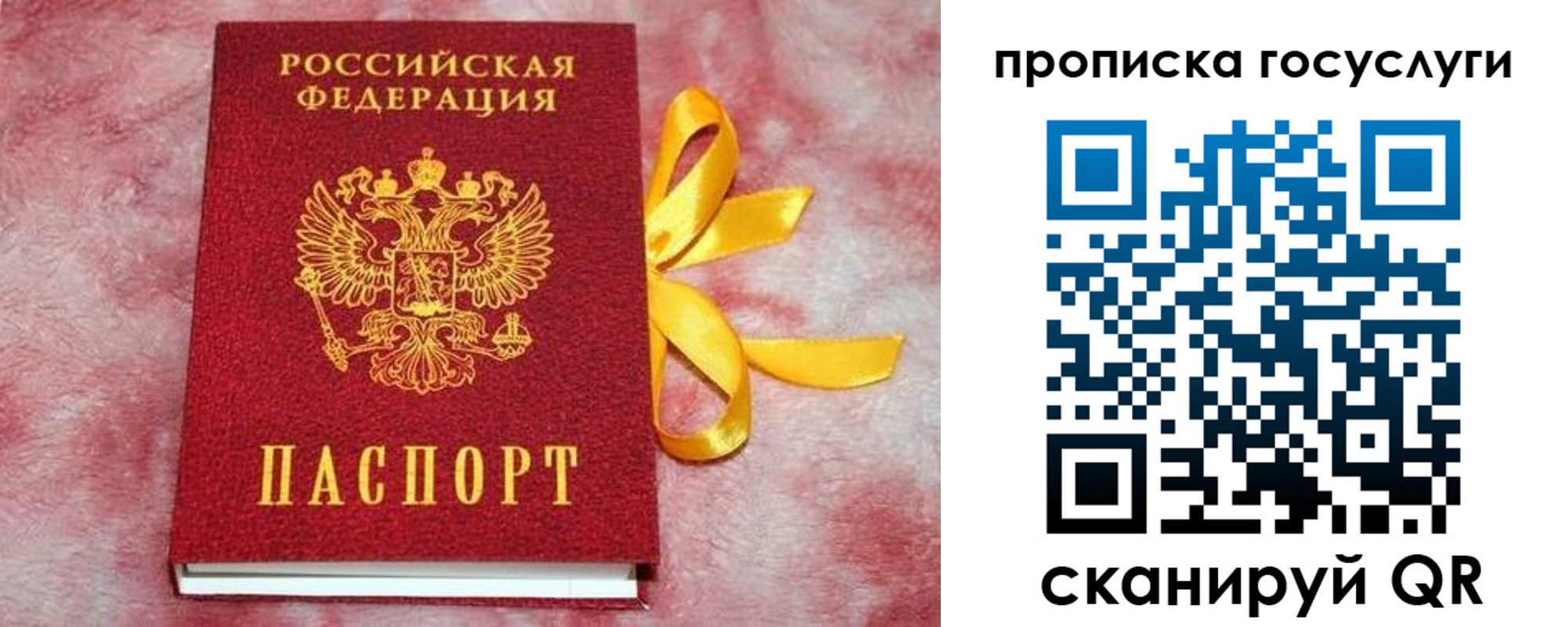 прописка законно в Санкт-Петербурге